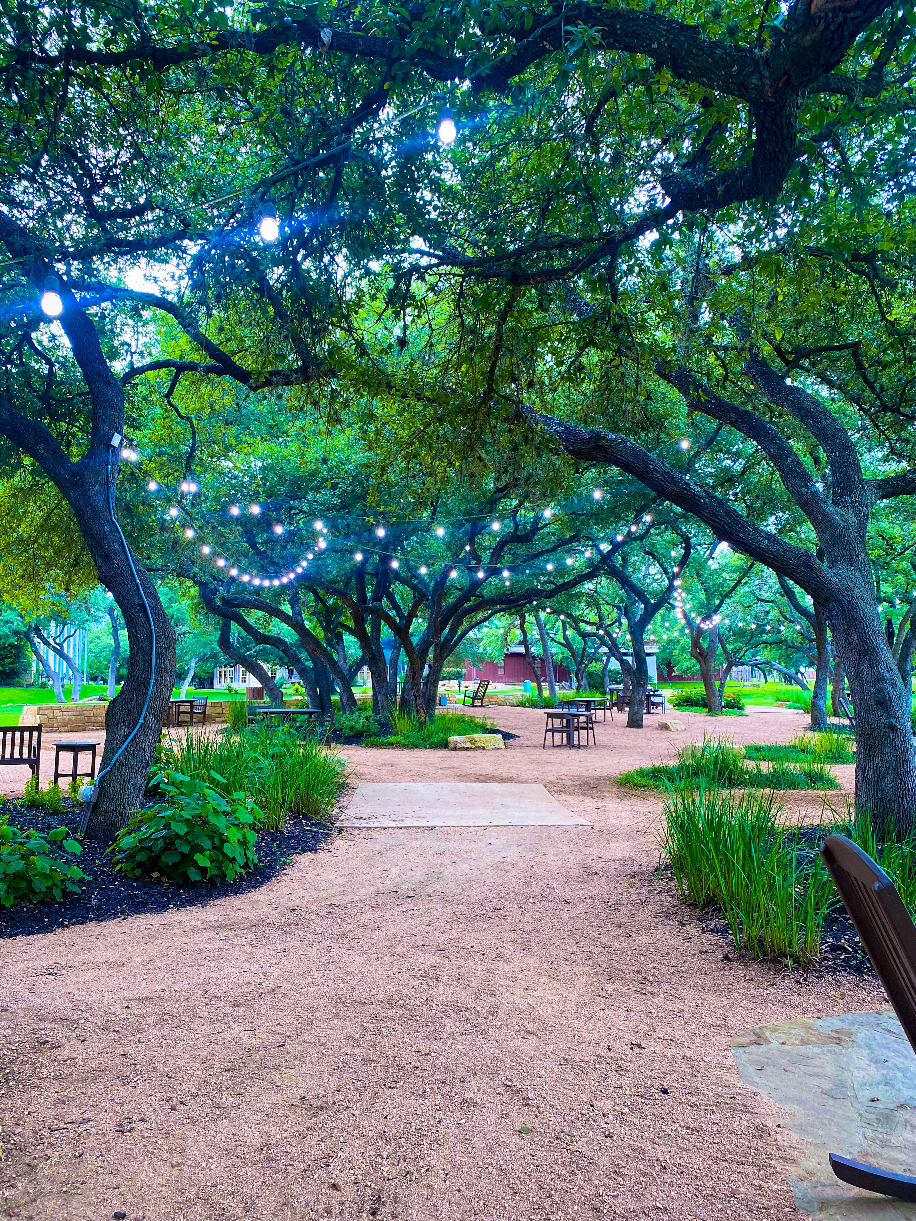 Khuôn viên Hyatt Hill Country Resort San Antonio