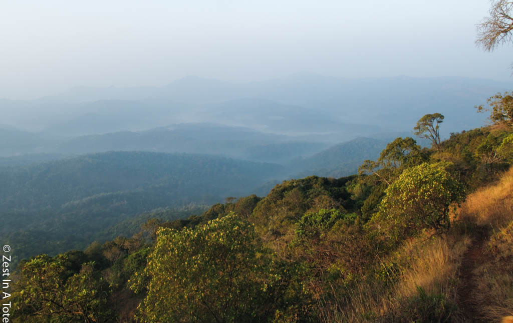 chikmagalur resorts