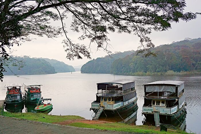 Toàn cảnh Hồ Periyar