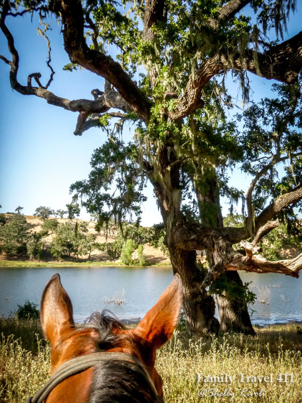 Gia đình cưỡi ngựa tại Alisal Guest Ranch & Resort