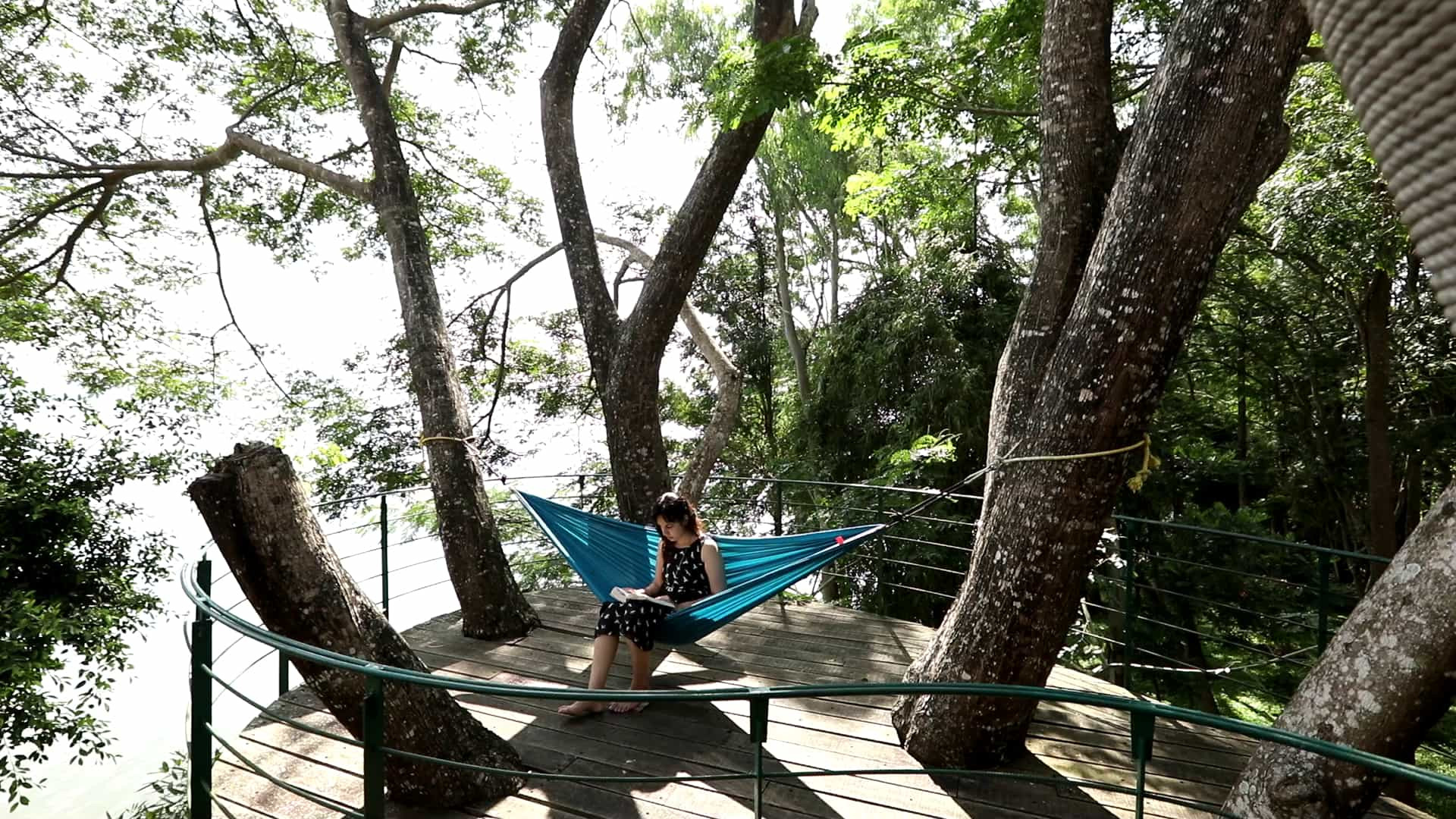 read-in-the-hammock