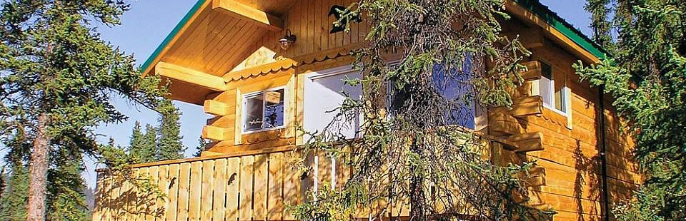 Cabin ấm cúng tại Denali Grizzly Bear Resort mang đến sự riêng tư và tiện nghi cho du khách
