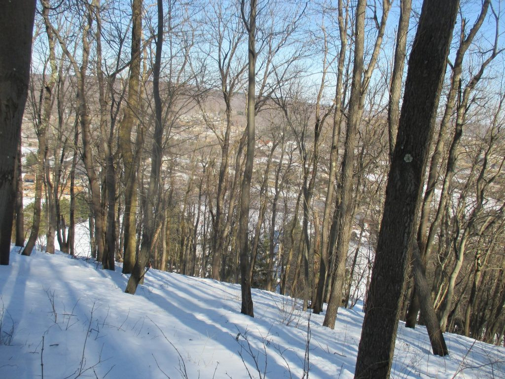 Khu vực trượt tuyết giữa rừng cây tại Wisp Ski Resort