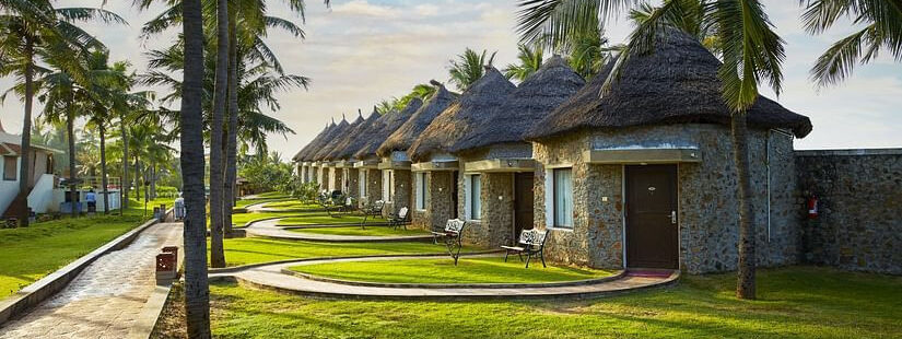 The outside lawn area of Sea View Room