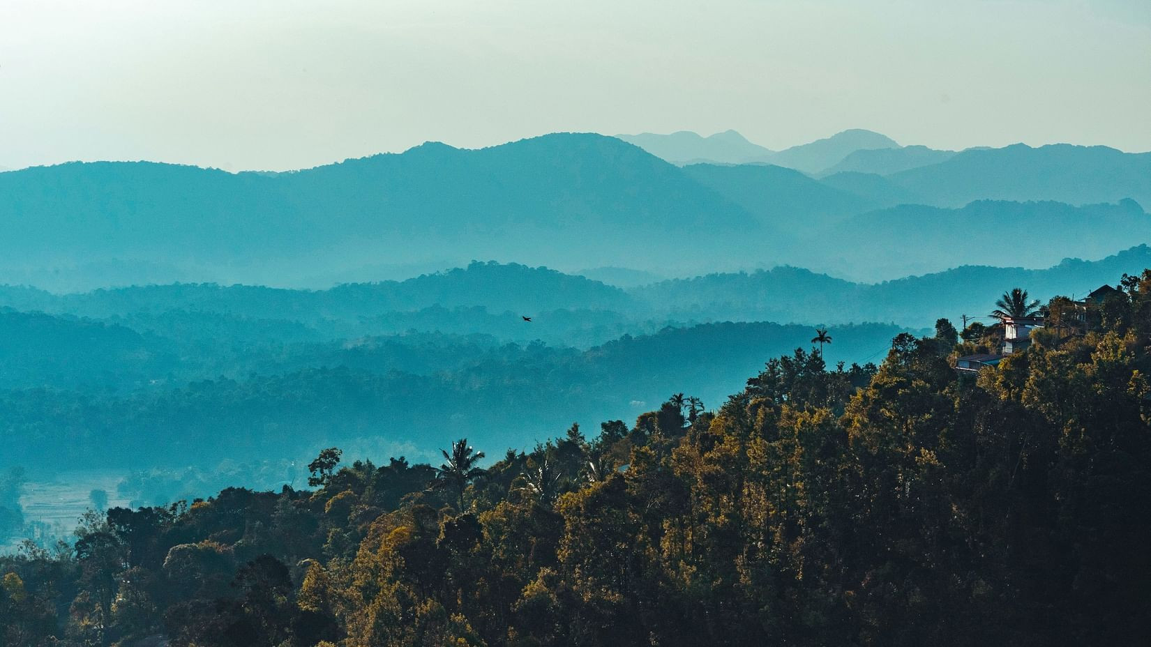 Khung cảnh đồi núi xanh tươi tại Coorg County Resort với tầm nhìn bao quát và không gian yên bình, mang đến trải nghiệm nghỉ dưỡng thư thái và gần gũi với thiên nhiên
