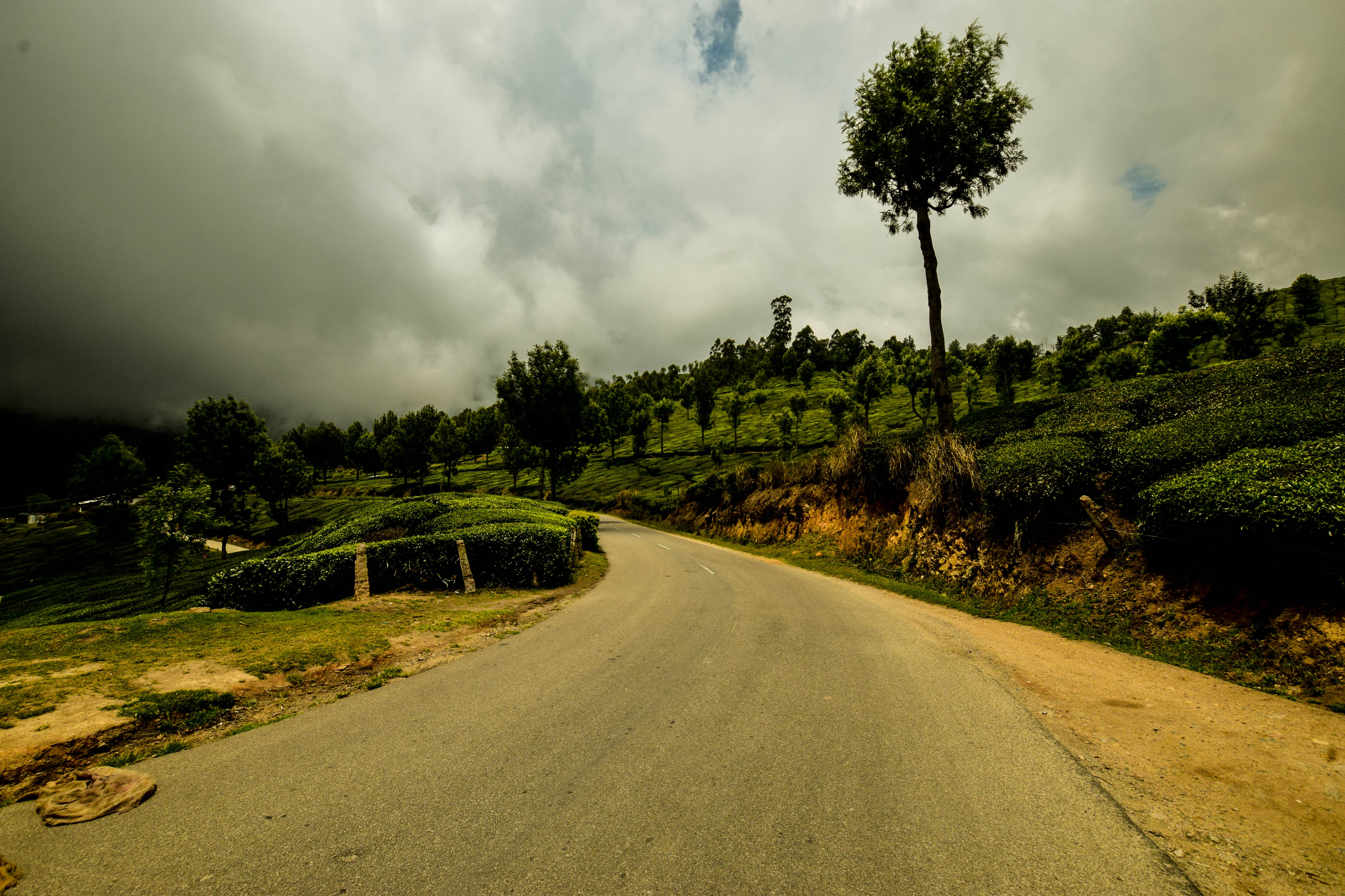 Con đường dẫn đến Shola Crown Resort Munnar