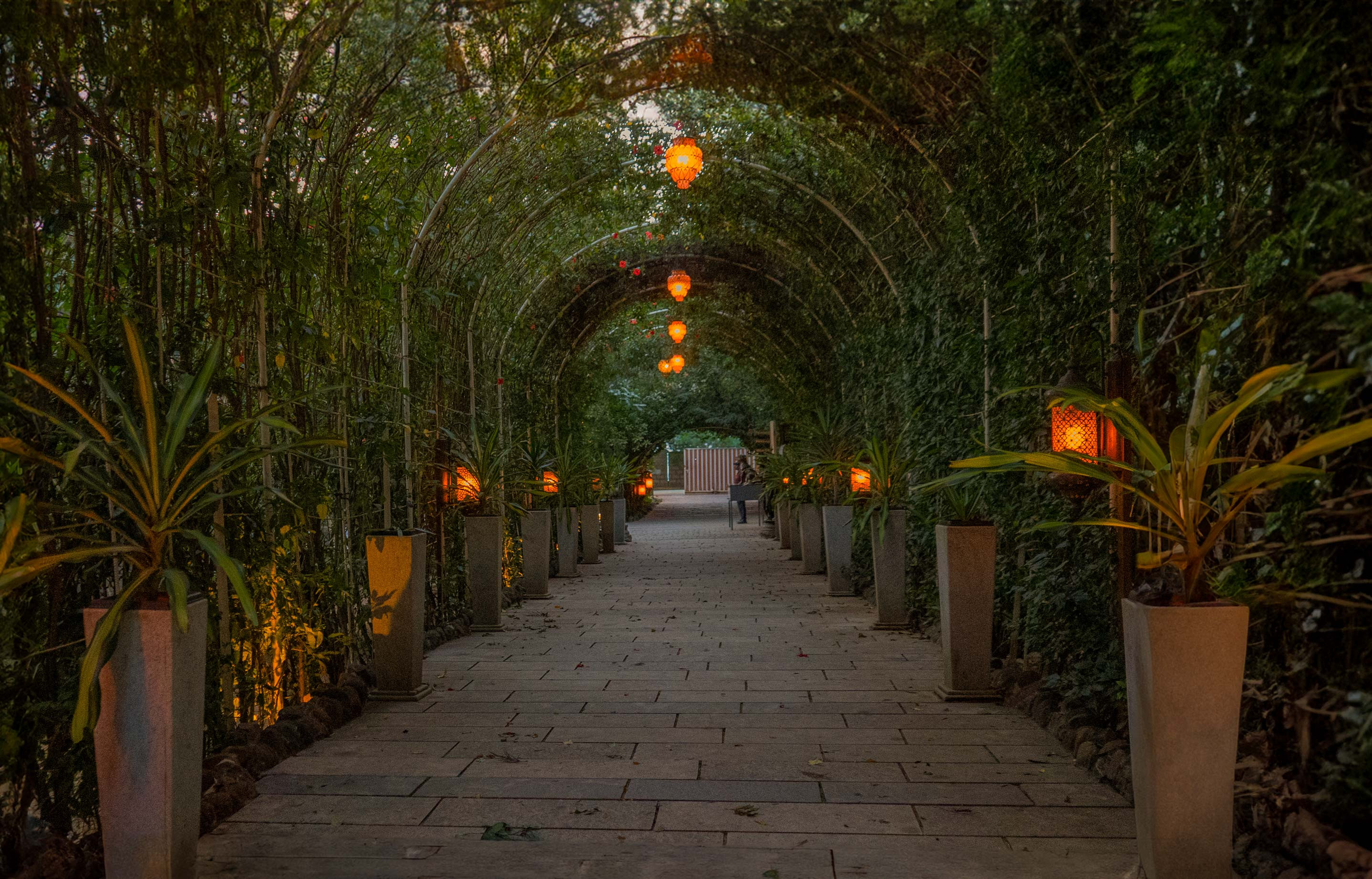 Khuôn viên xanh mát tại Mango Mist Resort, Bangalore, Ấn Độ