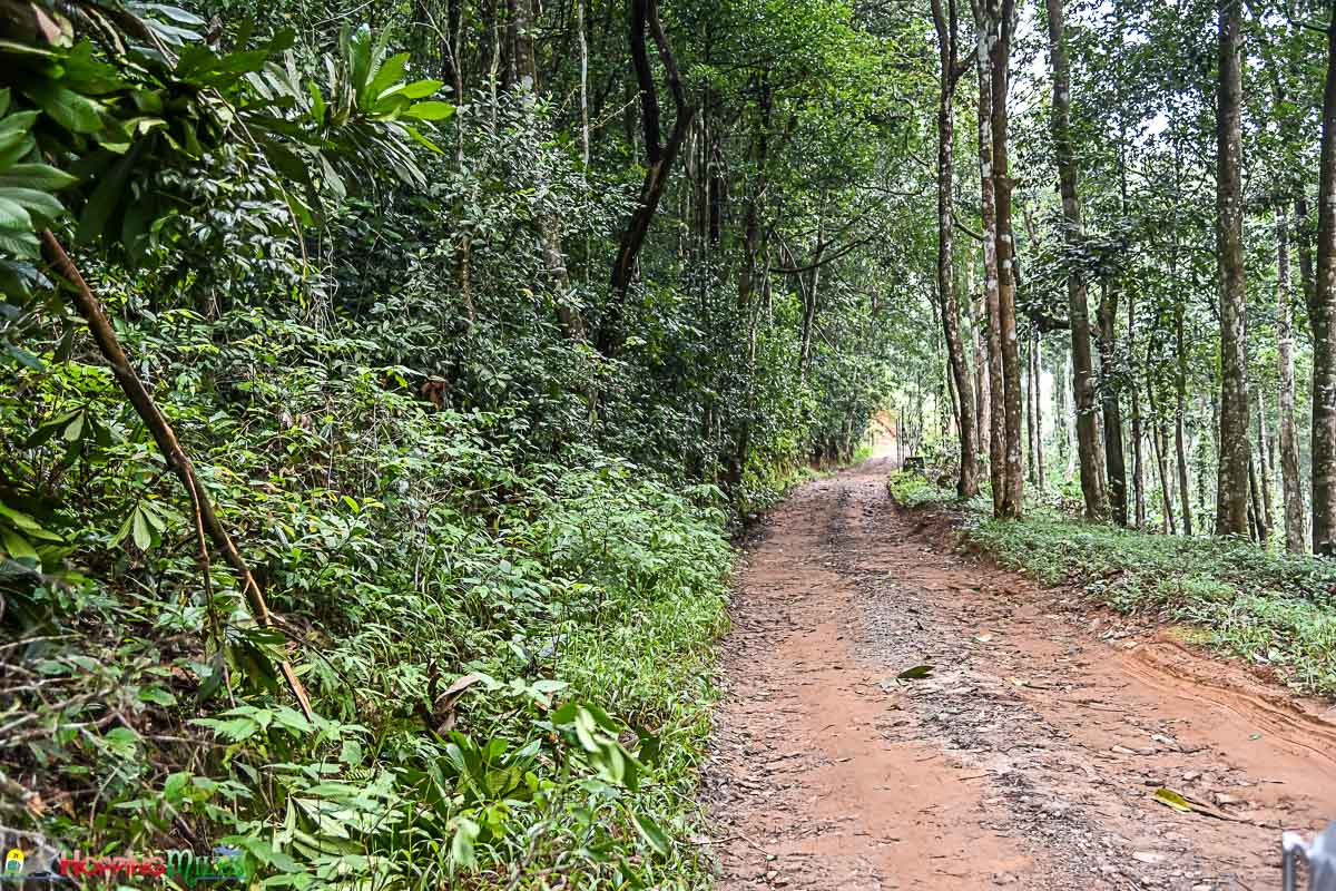 Xe jeep 4x4 đưa đón khách tại Wild Planet Jungle Resort