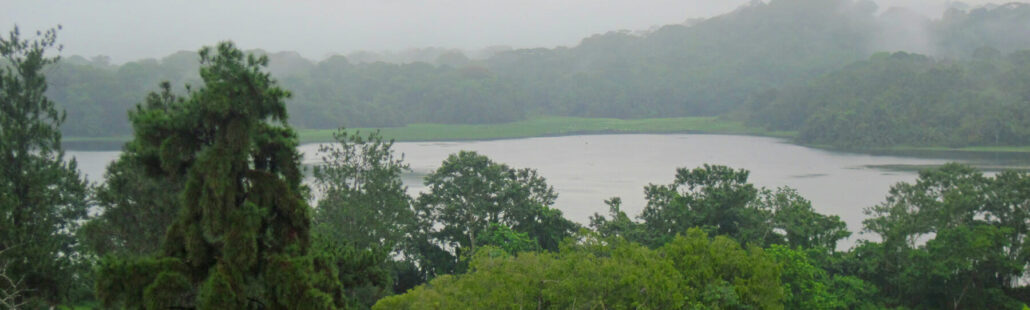Một cơn mưa rào khác tràn qua thung lũng sông ở Gamboa, Panama