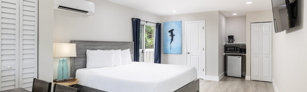 Phòng Standard King tại Amoray Dive Resort với nội thất trang nhã và tầm nhìn ra vườn cây xanh mát