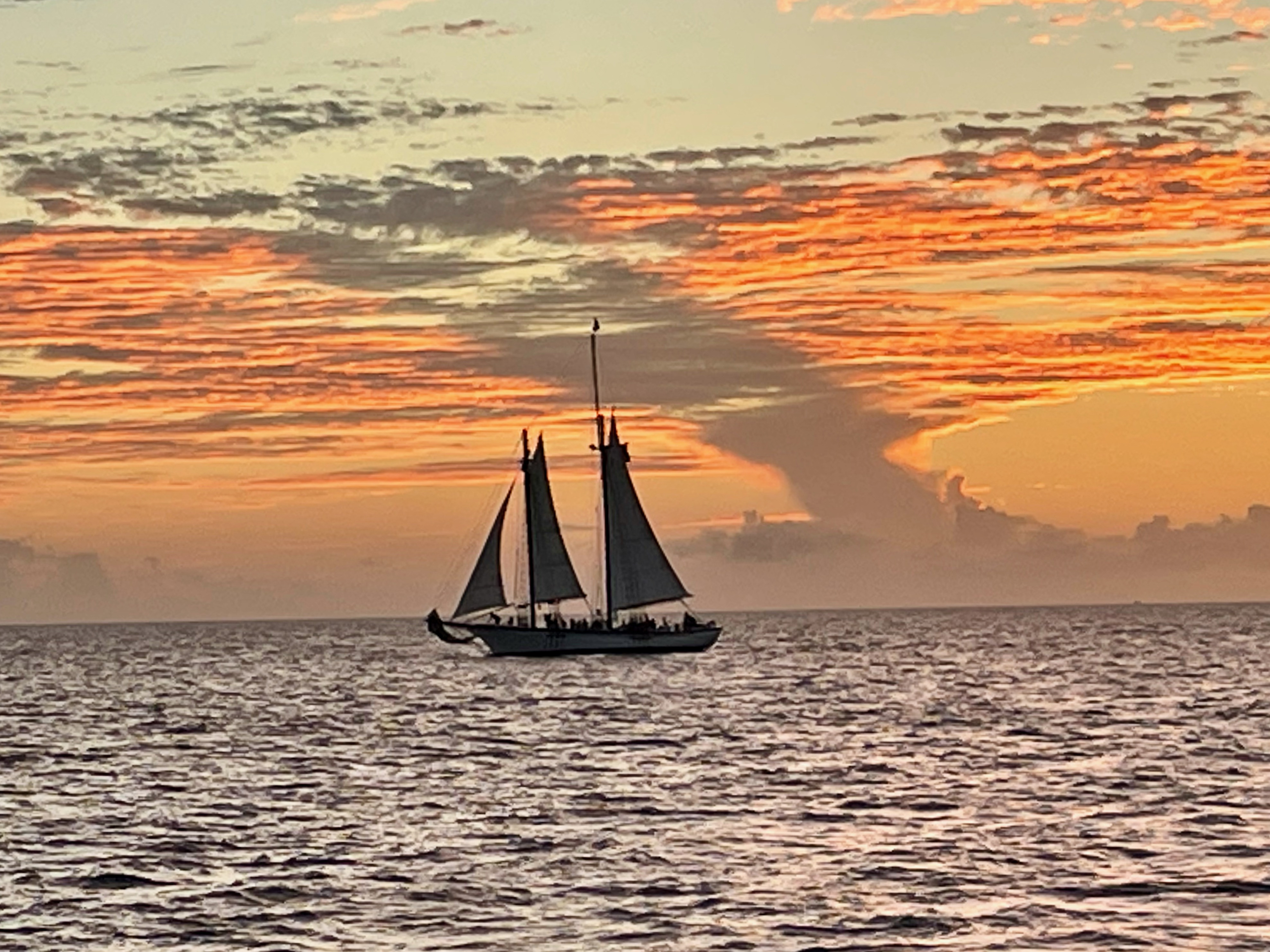 Bãi biển riêng tại Pier House Resort and Spa, Key West