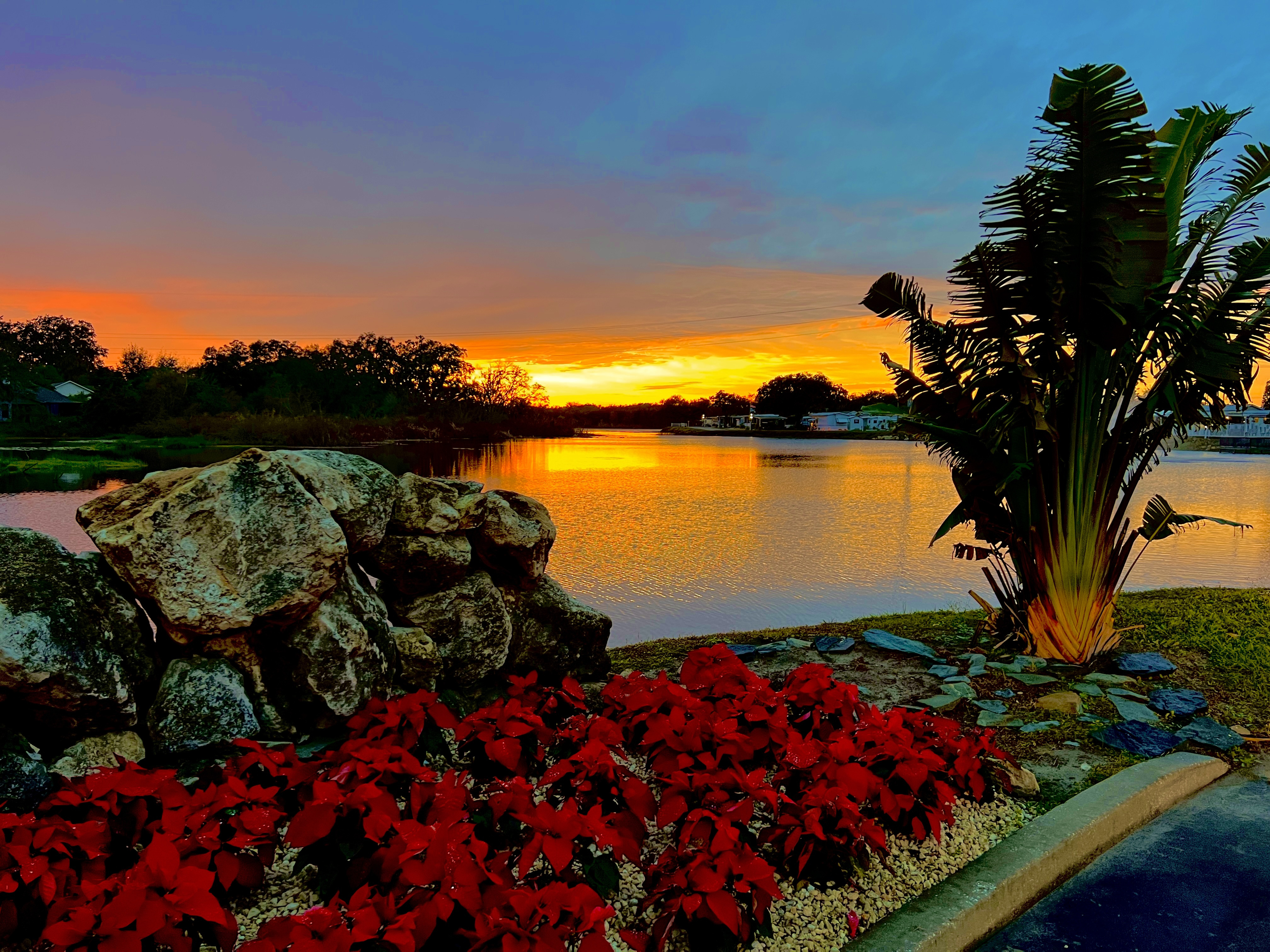 Phòng khách của một căn suite tại Orchid Lake Resort, với thiết kế sang trọng, hiện đại và tầm nhìn tuyệt đẹp ra hồ nước.