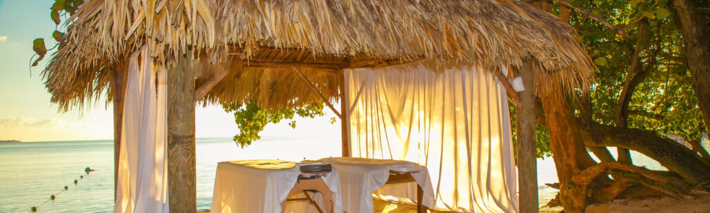Massage table under tiki Jan 7 2016 (9 of 47)