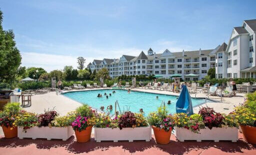 Bể bơi ngoài trời tại The Osthoff Resort với ghế tắm nắng và cây xanh