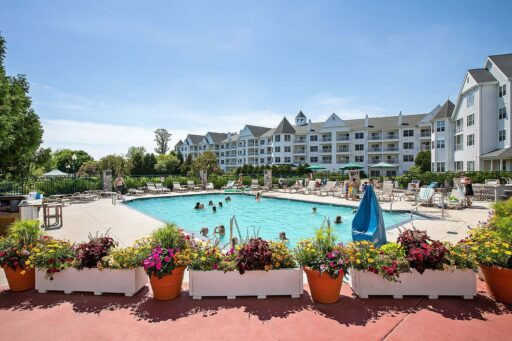 Bể bơi ngoài trời tại The Osthoff Resort với ghế tắm nắng và cây xanh